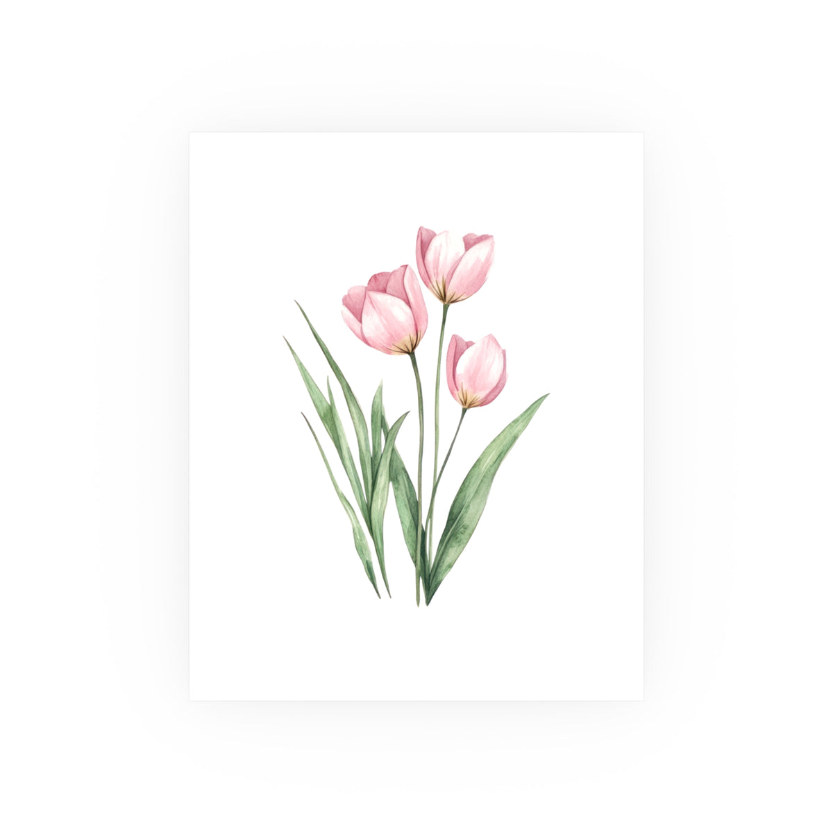 Pink Tulip Watercolor Poster — Botanical Wall Art Print