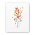 Watercolor Gladiolus Canvas Print — Stretched Matte Wall Art