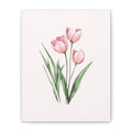 Pink Tulip Watercolor Canvas Print — Stretched Matte Floral Wall Art for Baby Girl Nursery