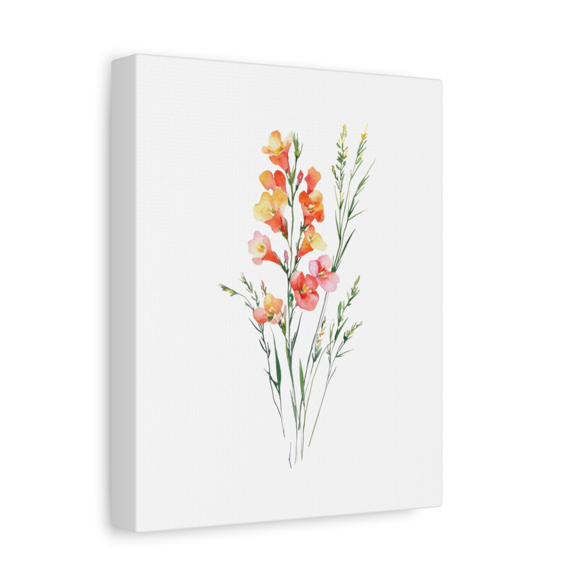 Watercolor Gladiolus Canvas Print — Stretched Matte Wall Art
